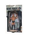 Luptator Wrestling Festus (Ring Rage)