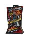 Luptator WWE Matt Hardy 