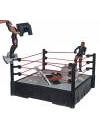 Ring 'Breakdown Browl'