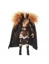 Luptator WWE Triple H (Marea intrare)