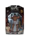 Luptator UFC Frank Mir