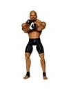 Luptator UFC Houston 