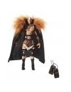 Luptator Triple H (Marea intrare) si lantisor Randy Orton!