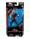  Ant-Man and the Wasp: Quantumania Marvel Legends Figurina articulata Ant-Man (Cassie Lang BAF) 15 cm