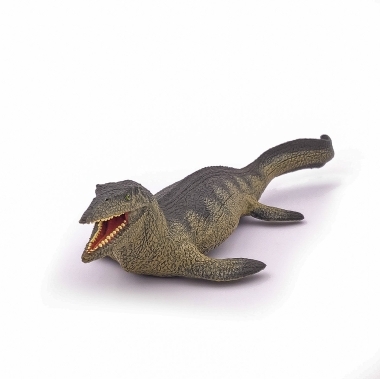 Miniatura 9