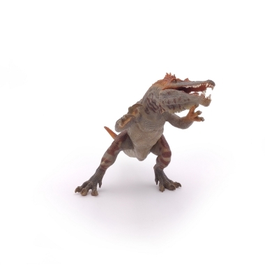Miniatura 6