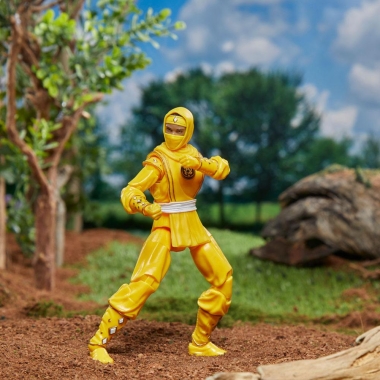 Miniatura 10