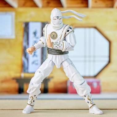 Miniatura 10