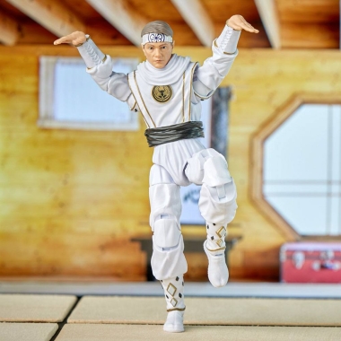 Miniatura 6