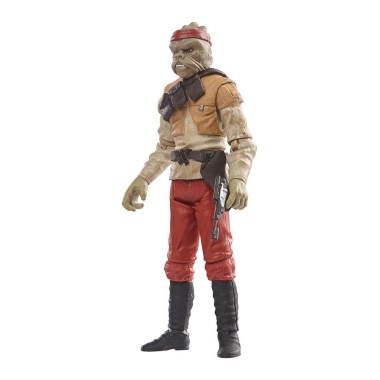 Miniatura 14