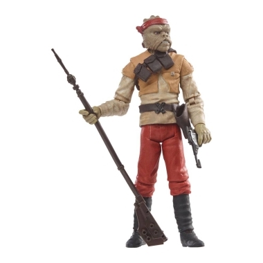 Miniatura 15