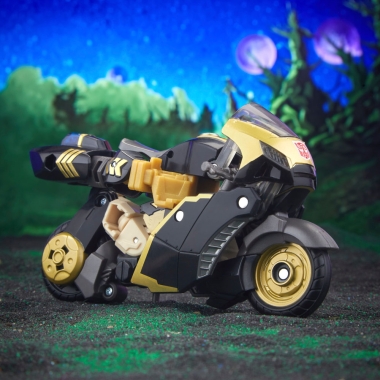 Miniatura 8