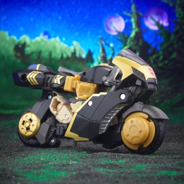 Miniatura 9