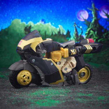 Miniatura 10