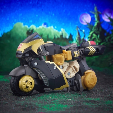 Miniatura 11