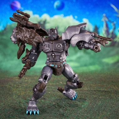 Miniatura 6
