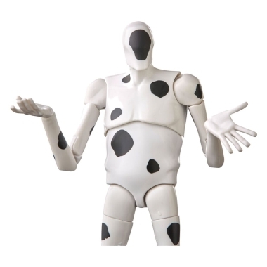 Miniatura 9
