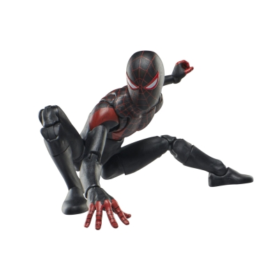 Miniatura 9