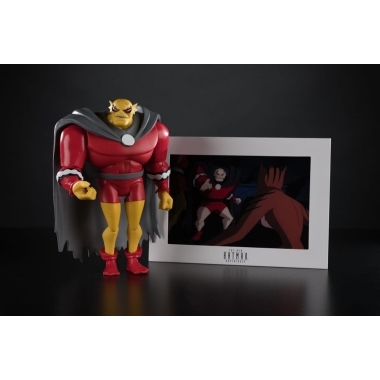Miniatura 15