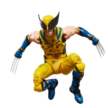 Miniatura 5