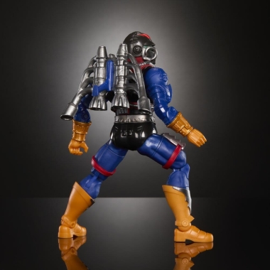 Miniatura 6