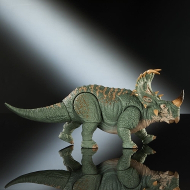 Miniatura 6