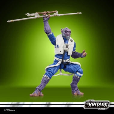 Miniatura 15