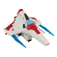 Miniatura 10