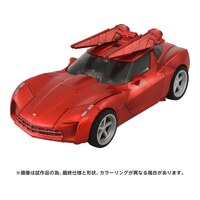 Miniatura 10