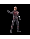  Ant-Man and the Wasp: Quantumania Marvel Legends Figurina articulata Ant-Man (Cassie Lang BAF) 15 cm