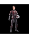  Ant-Man and the Wasp: Quantumania Marvel Legends Figurina articulata Ant-Man (Cassie Lang BAF) 15 cm