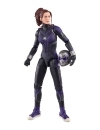  Ant-Man and the Wasp: Quantumania Marvel Legends Figurina articulata Ant-Man (Cassie Lang BAF) 15 cm