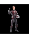  Ant-Man and the Wasp: Quantumania Marvel Legends Figurina articulata Ant-Man (Cassie Lang BAF) 15 cm