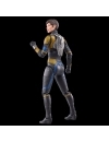 Ant-Man and the Wasp: Quantumania Marvel Legends Figurina articulata Marvel's Wasp (Cassie Lang BAF) 15 cm