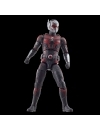  Ant-Man and the Wasp: Quantumania Marvel Legends Figurina articulata Ant-Man (Cassie Lang BAF) 15 cm