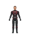  Ant-Man and the Wasp: Quantumania Marvel Legends Figurina articulata Ant-Man (Cassie Lang BAF) 15 cm