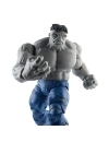 Avengers Marvel Legends Set 2 figurine articulate Gray Hulk & Dr. Bruce Banner 15 cm