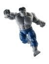 Avengers Marvel Legends Set 2 figurine articulate Gray Hulk & Dr. Bruce Banner 15 cm