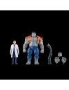 Avengers Marvel Legends Set 2 figurine articulate Gray Hulk & Dr. Bruce Banner 15 cm