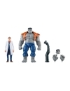 Avengers Marvel Legends Set 2 figurine articulate Gray Hulk & Dr. Bruce Banner 15 cm