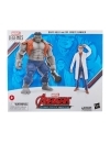 Avengers Marvel Legends Set 2 figurine articulate Gray Hulk & Dr. Bruce Banner 15 cm