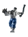 Avengers Marvel Legends Set 2 figurine articulate Gray Hulk & Dr. Bruce Banner 15 cm