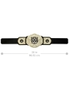 Centura WWE World Heavyweight Championship