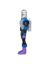 DC Direct BTAS Figurina articulata Mr. Freeze 15 cm