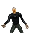 DC Multiverse Set 2 figurine Rookie & Mr. Bloom (Batman: Endgame) (Gold Label) (SDCC) 18 cm
