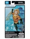 DC Multiverse Figurina articulata  Aquaman (Endless Winter) (Blister Card) 18 cm