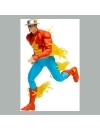 DC Multiverse Figurina articulata The Flash (Jay Garrick) 18 cm