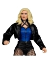 DC Multiverse Collector Edition Figurina articulata Black Canary (DC Rebirth) (Collector Edition #54) 18 cm
