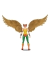 DC Multiverse McFarlane Collector Edition Figurina articulata Hawkgirl Chase 18 cm