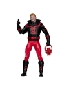 DC Multiverse McFarlane Collector Edition  Wave 11 assortment (4) 18 cm